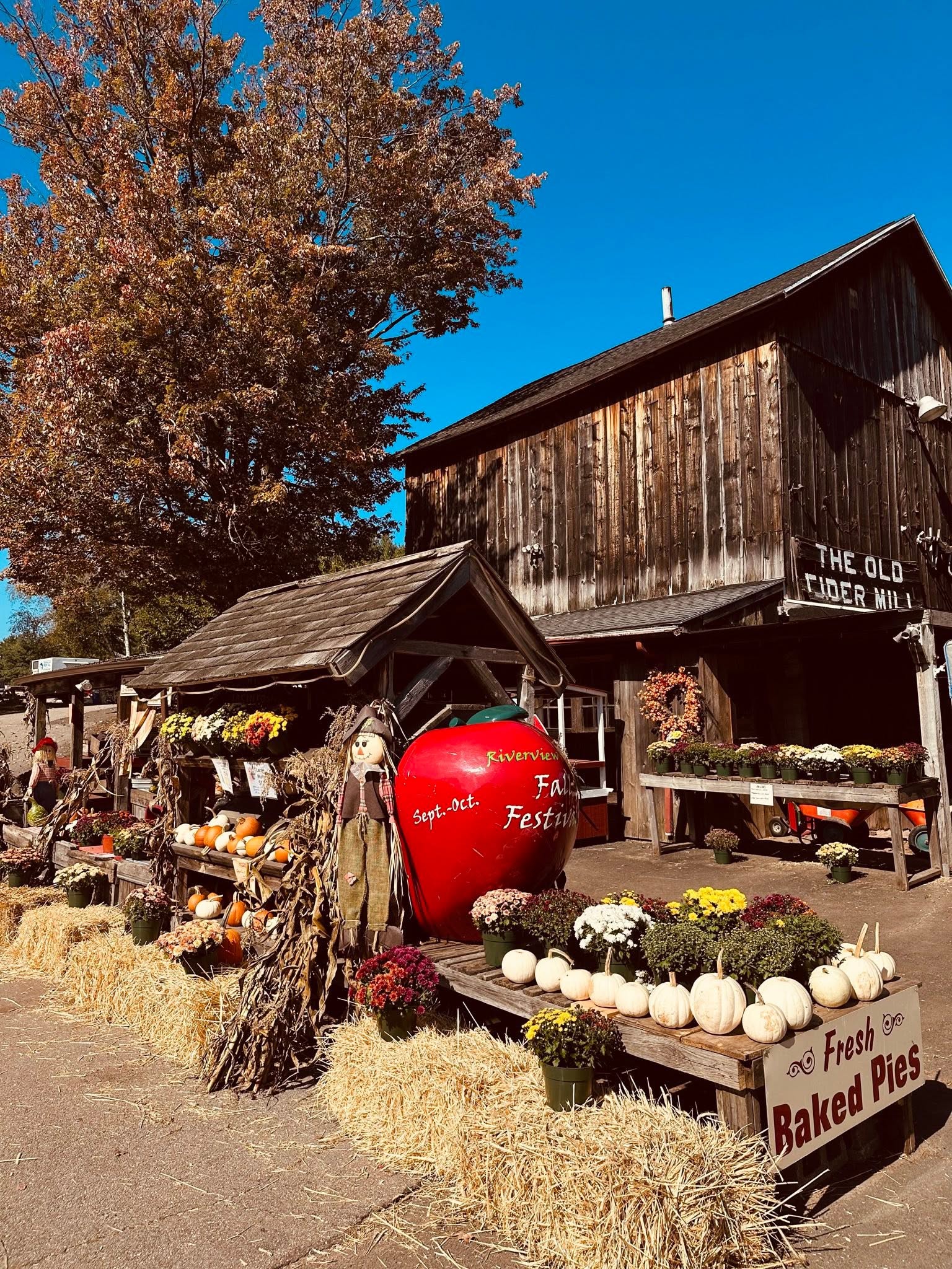 Photograph representing local sourcing in the Connecticut River Valley